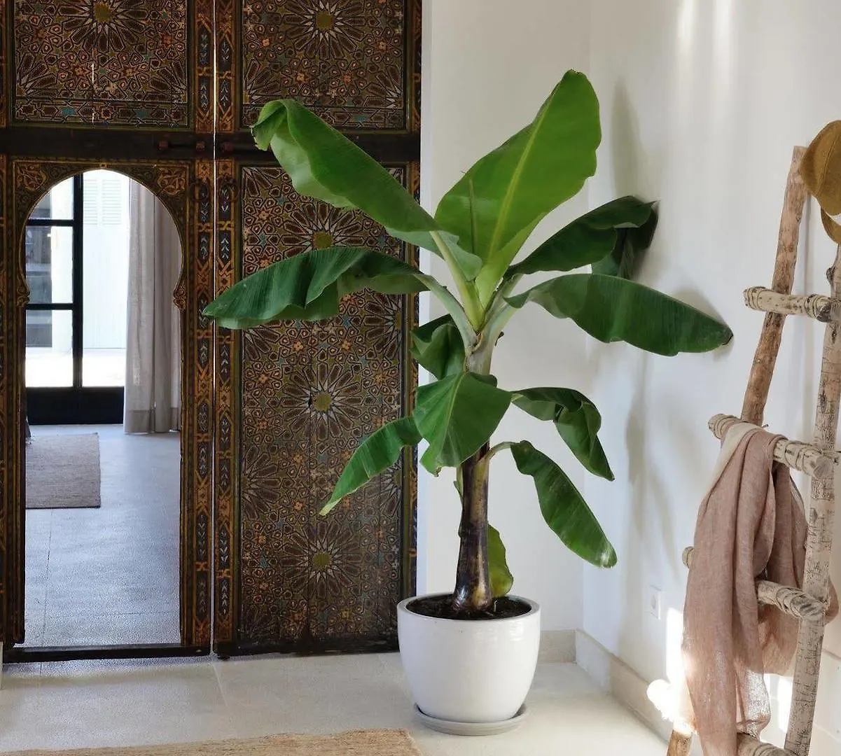 Cal Reiet Holistic Retreat Hotel Santanyi